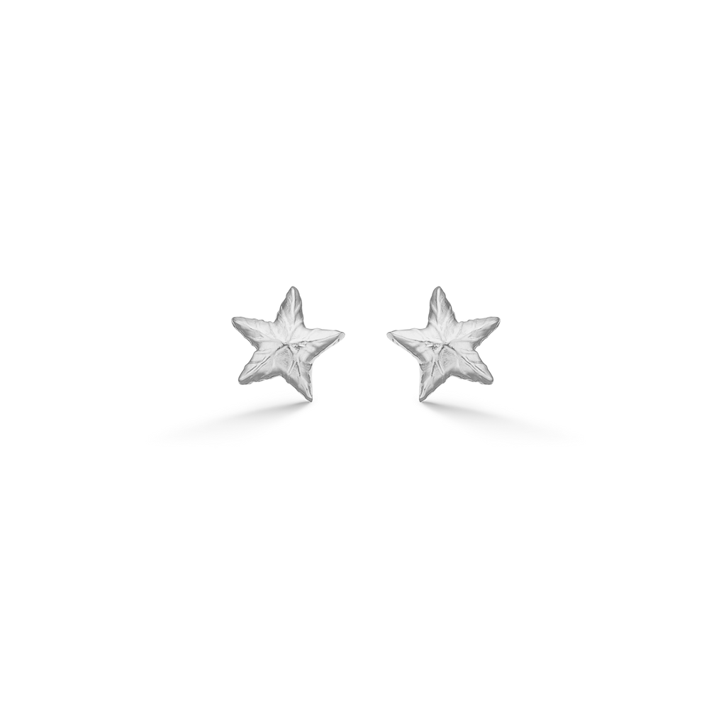 Sølv ørestik "Shiny Star"