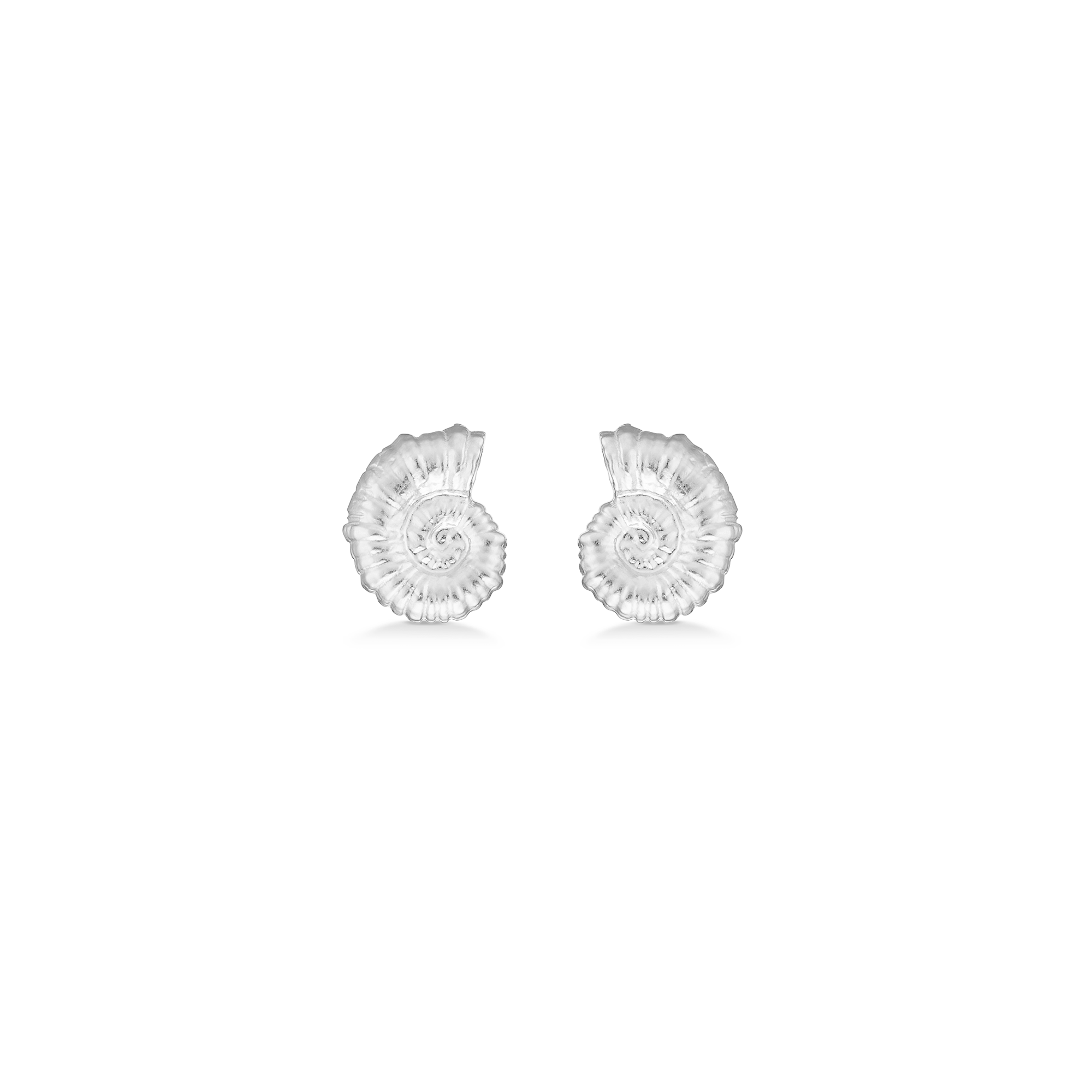 Sølv ørestik "Seashell Secrets"