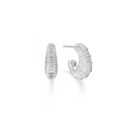 Sølv ørestik "Seashell Secrets"