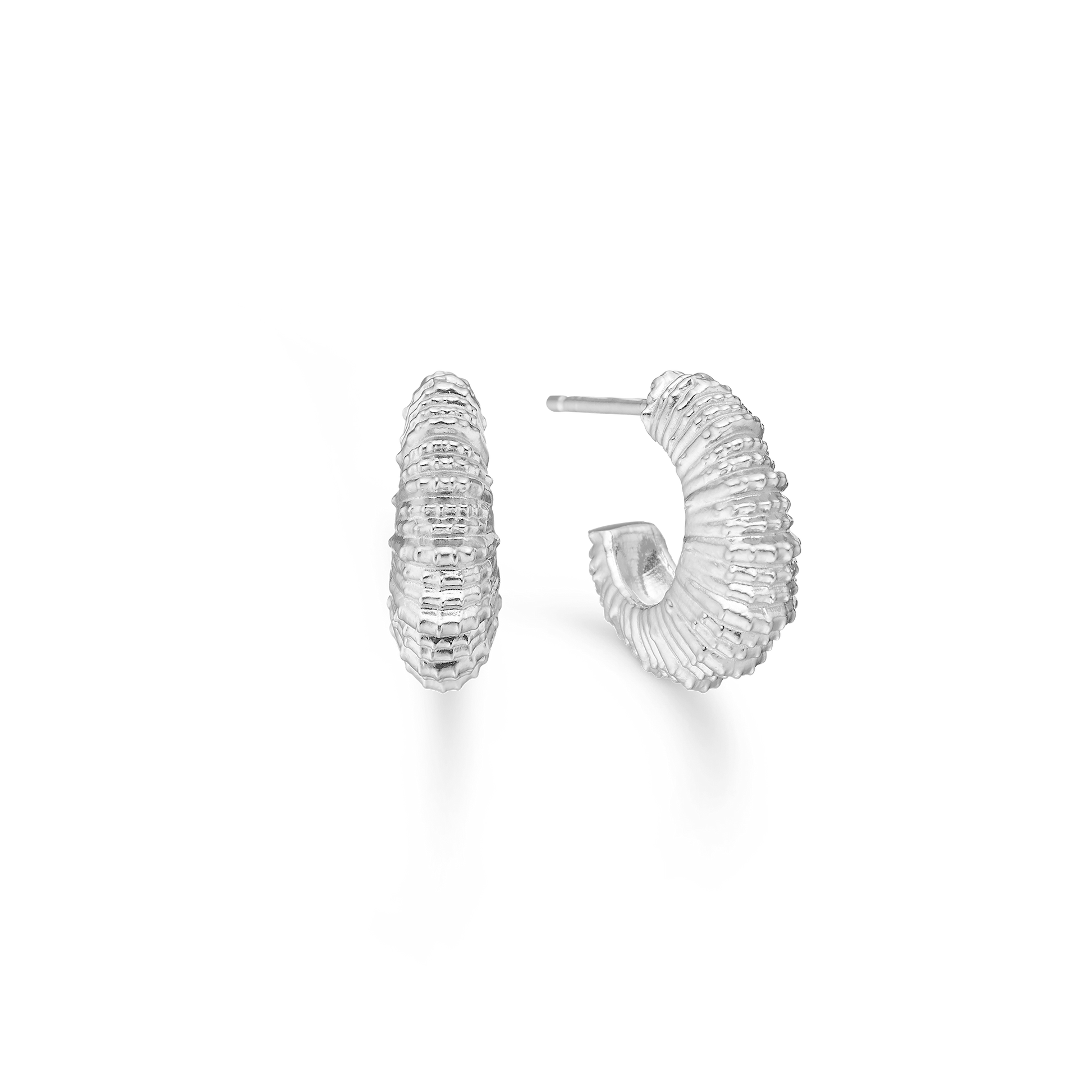 Sølv ørestik "Seashell Secrets"