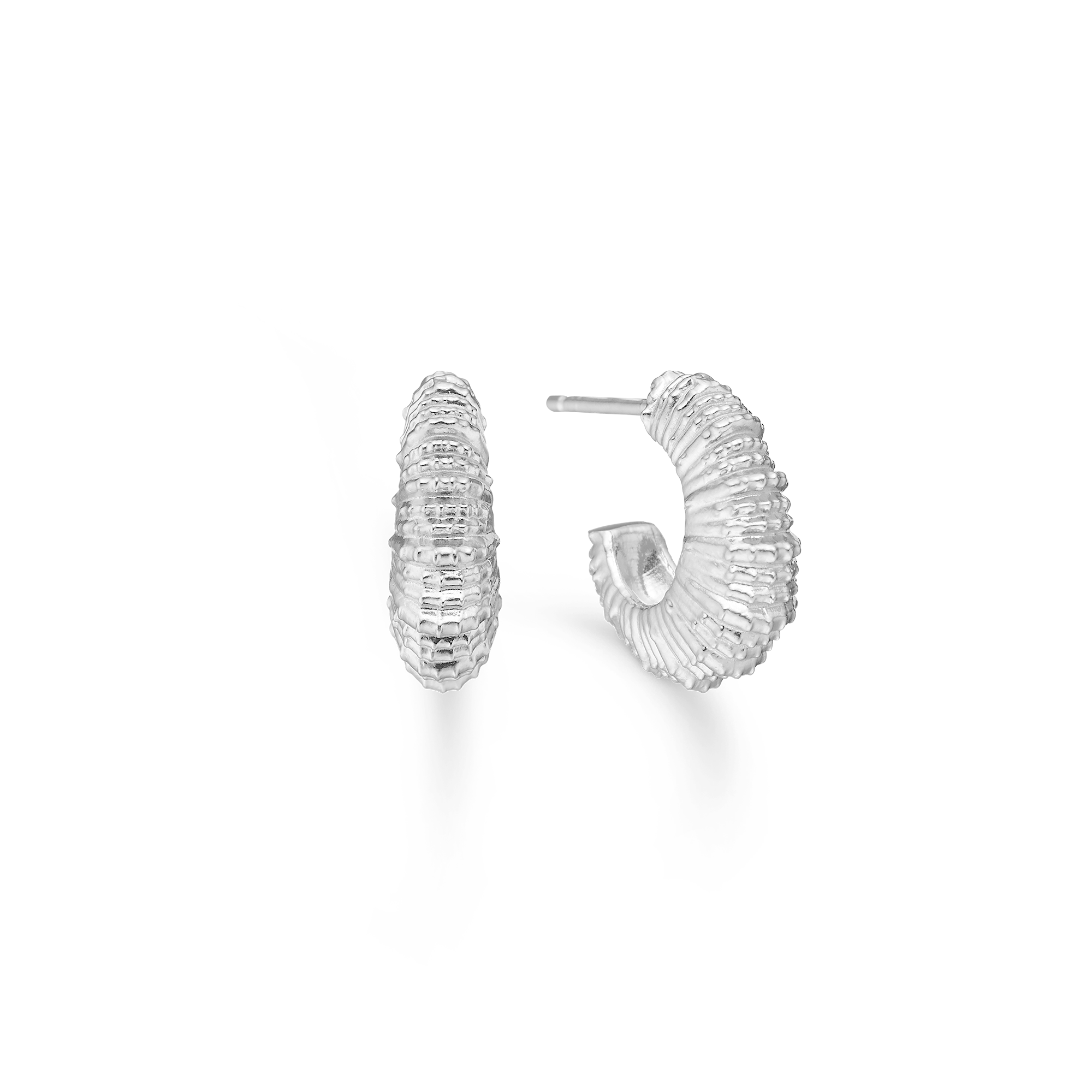 Sølv ørestik "Seashell Secrets"