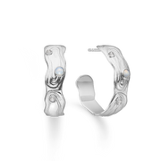 Shell Earrings