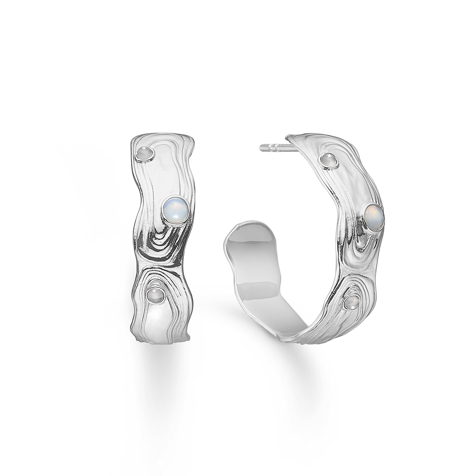 Shell Earrings