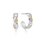 Shell Earrings