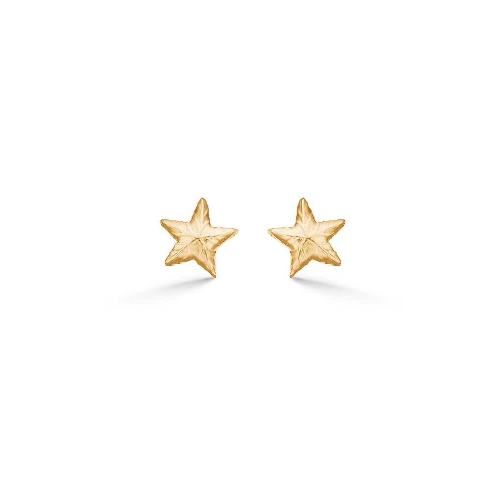 Sølv forg. ørestik "Shiny Star"