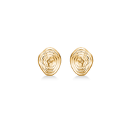 Shell Earrings