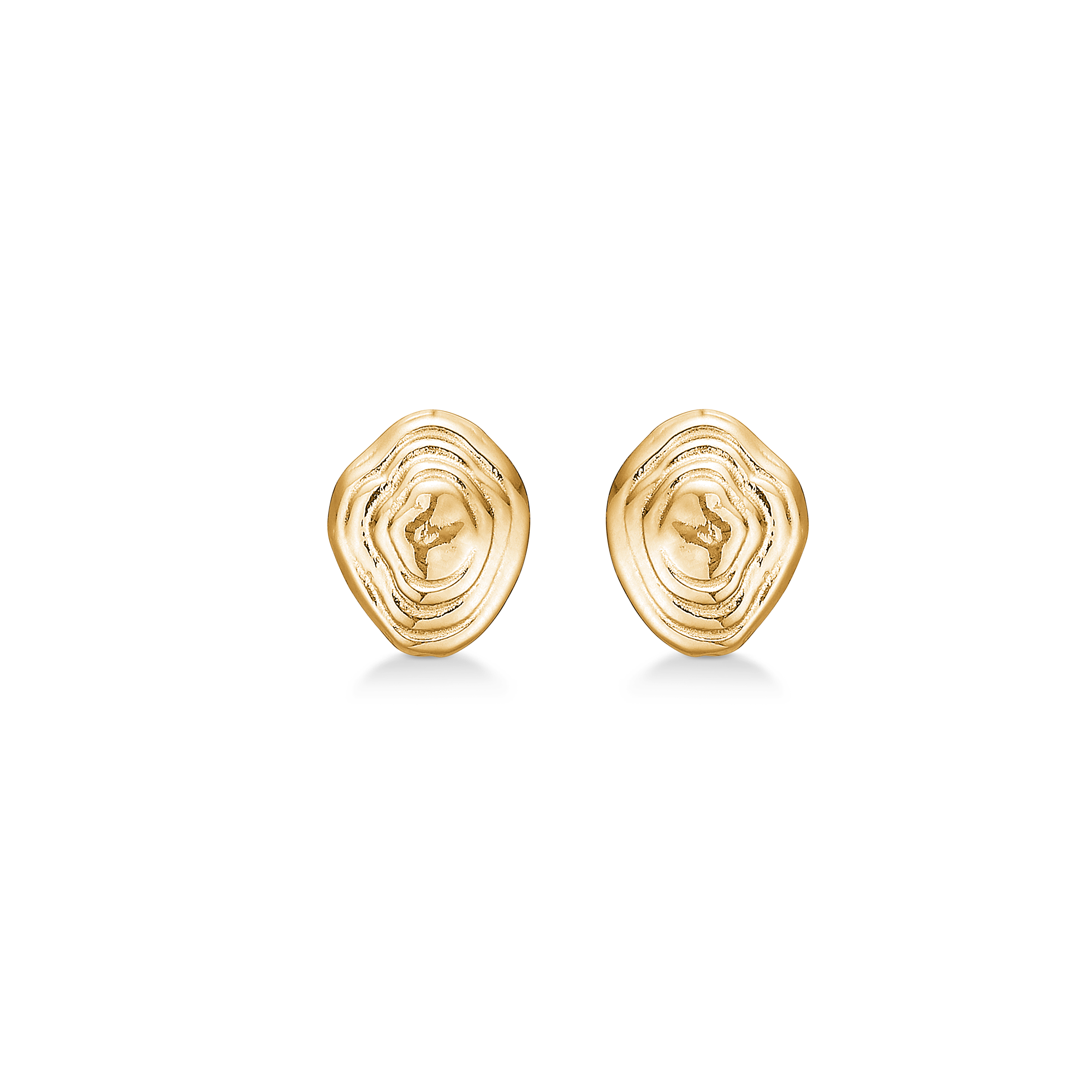 Shell Earrings