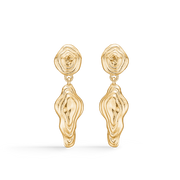 Shell Earrings