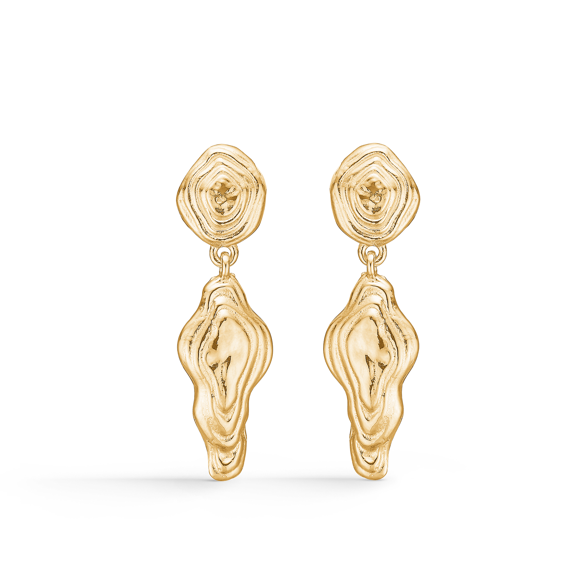 Shell Earrings