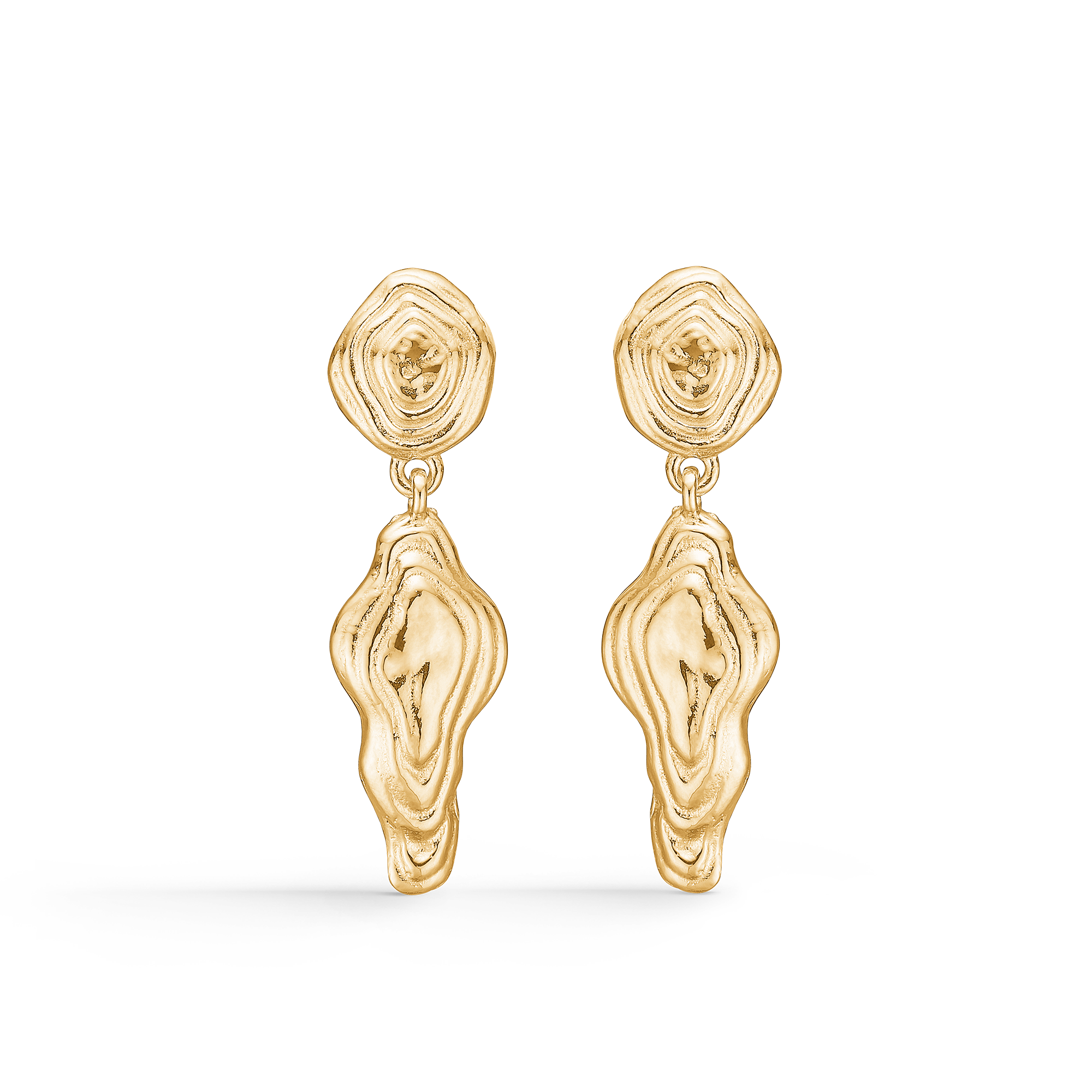 Shell Earrings