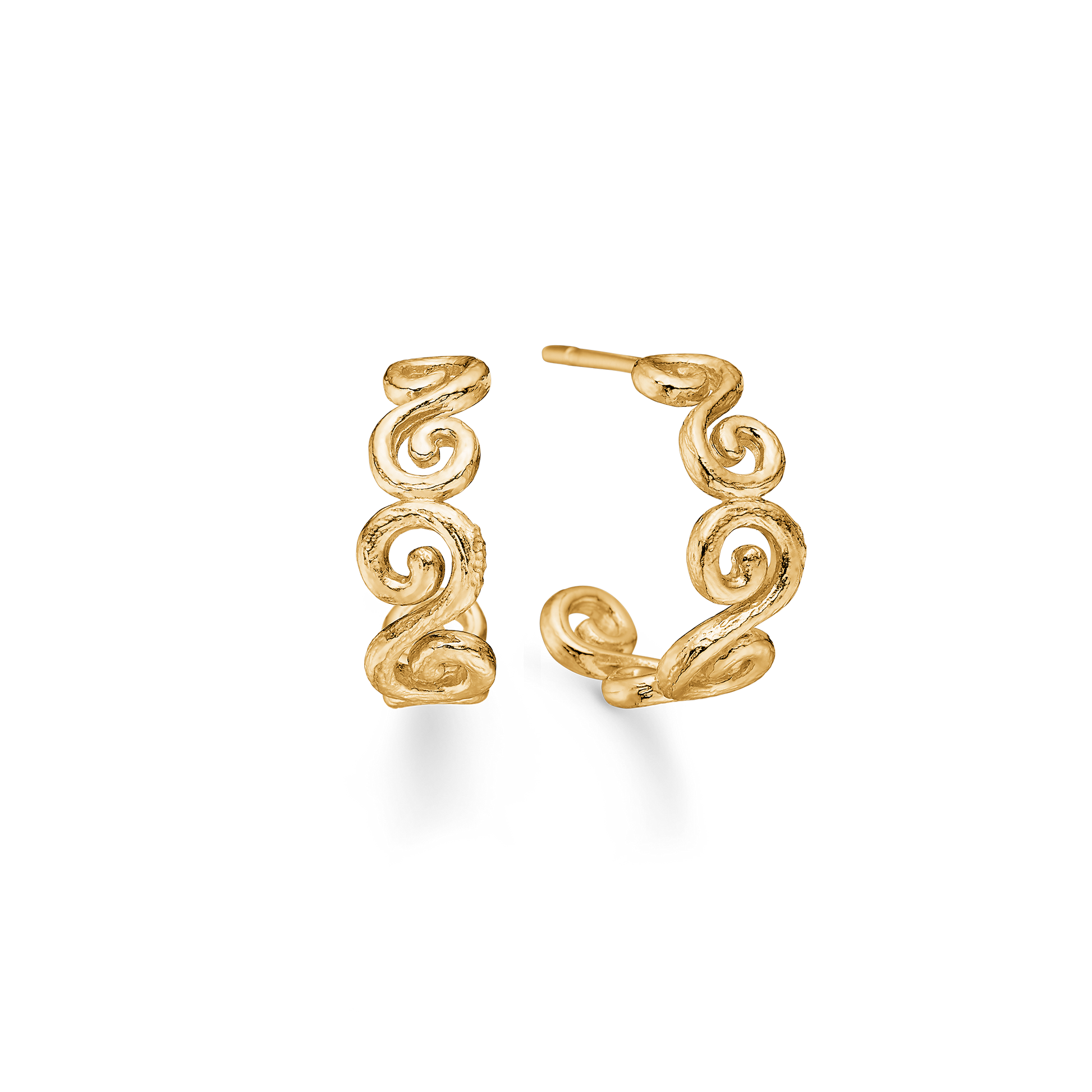Curiosity Earrings