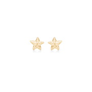 Sølv forgyldt ørestik "Starfish Lustre"