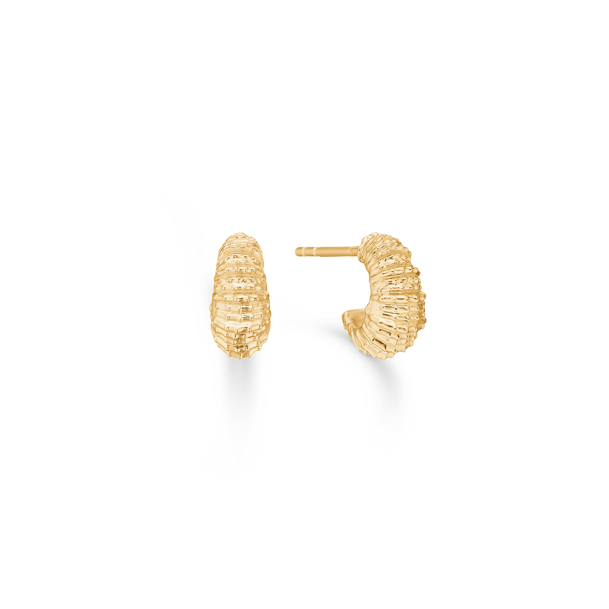 Sølv forg. ørestik "Seashell Secrets"