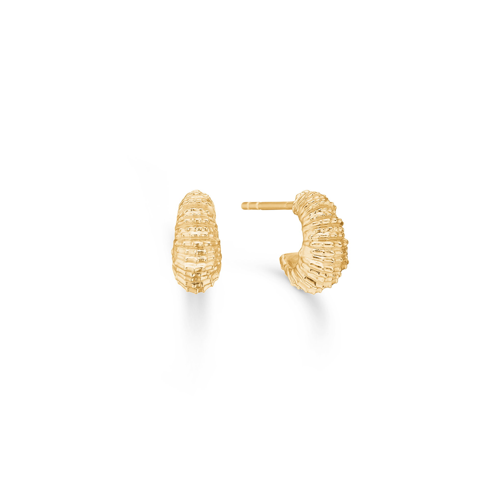 Sølv forg. ørestik "Seashell Secrets"