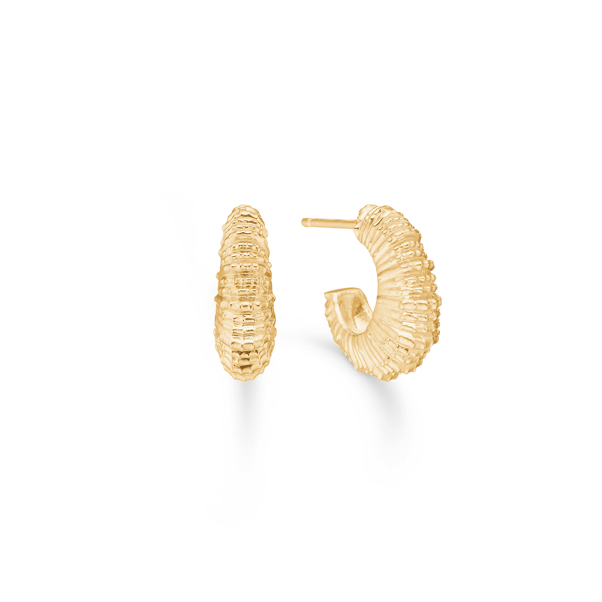 Sølv forg. ørestik "Seashell Secrets"