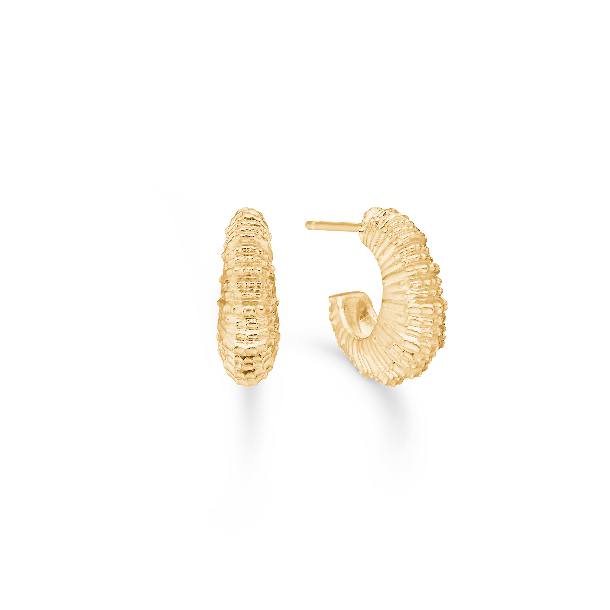Sølv forg. ørestik "Seashell Secrets"