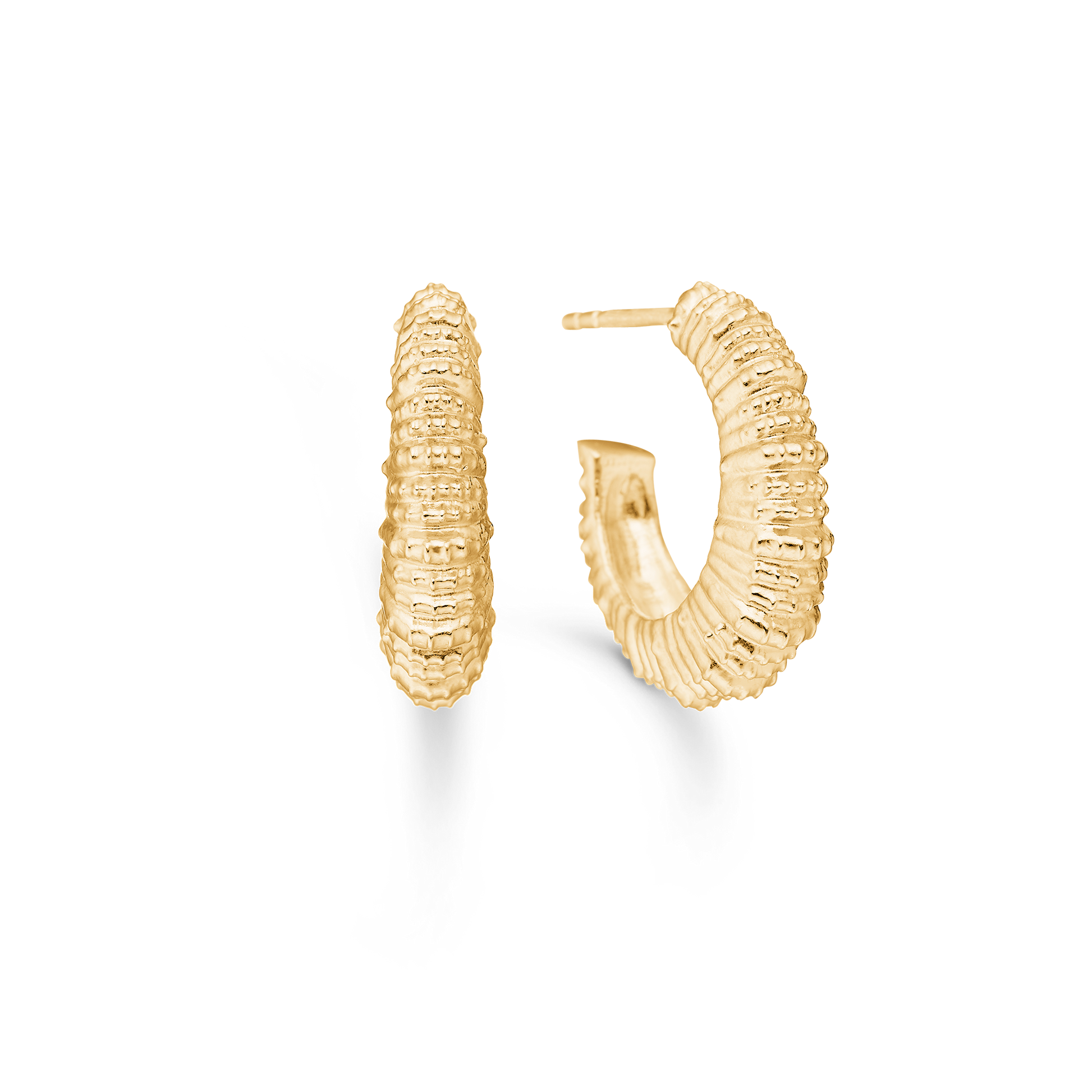 Sølv forg. ørestik "Seashell Secrets"