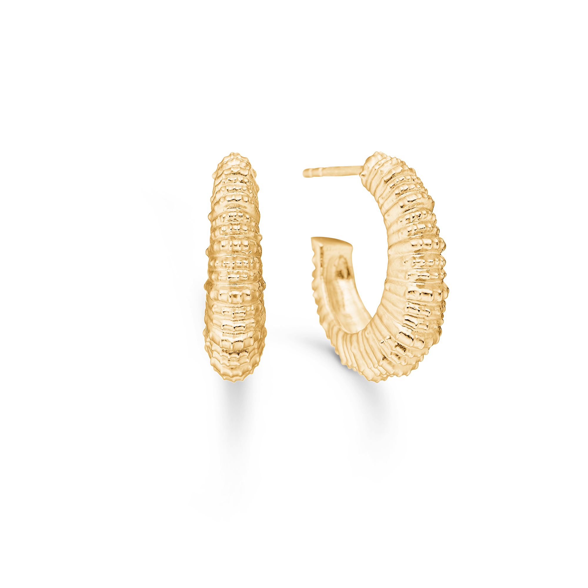 Sølv forg. ørestik "Seashell Secrets"
