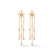Twinkle Earring