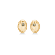 Shell Earrings