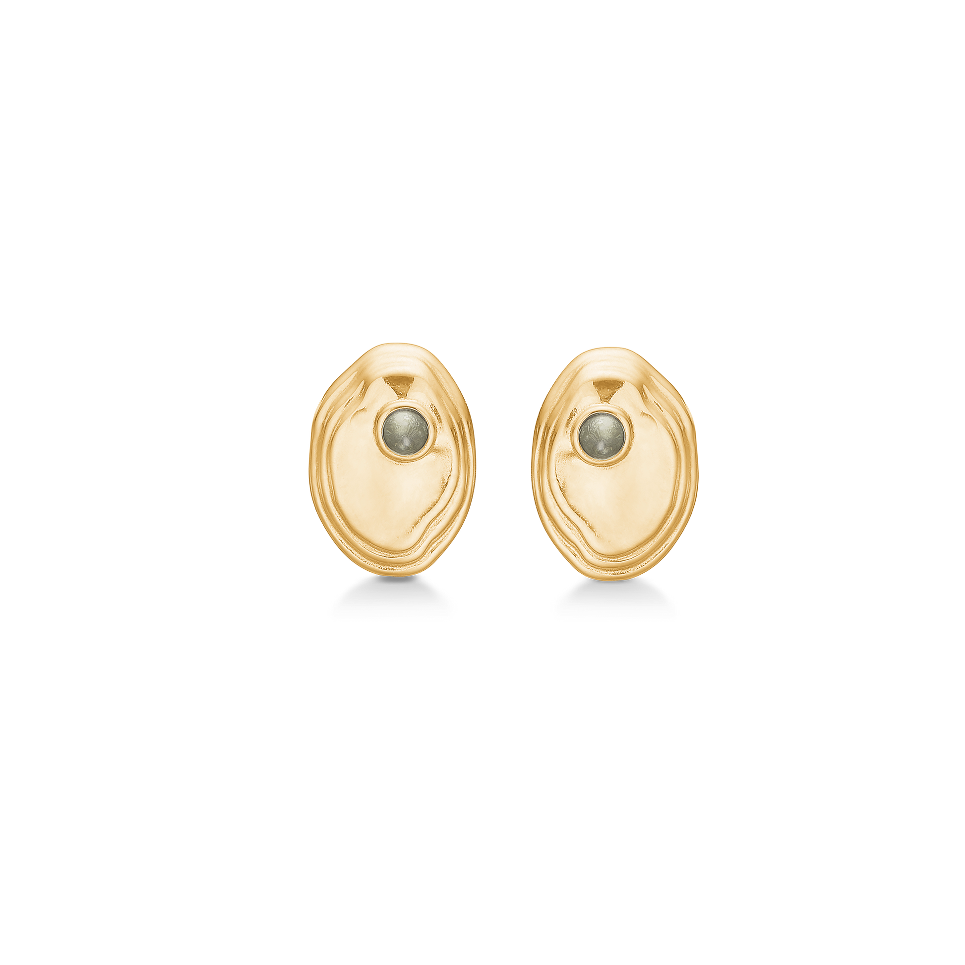Shell Earrings