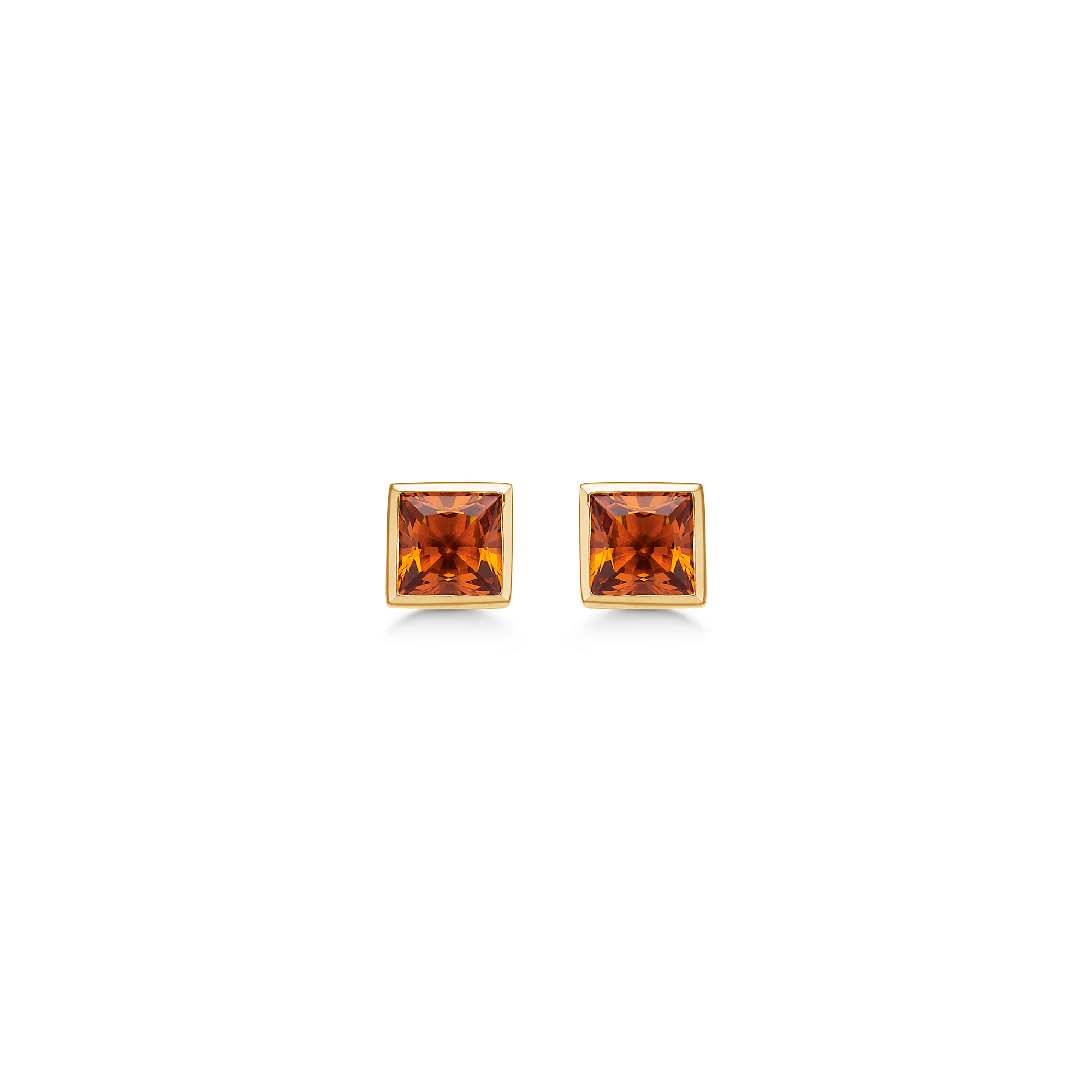 Untamed Earrings
