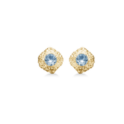 Wild Cliff Earrings