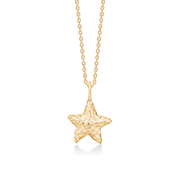 Sølv forg. halskæde "Starfish Lustre"