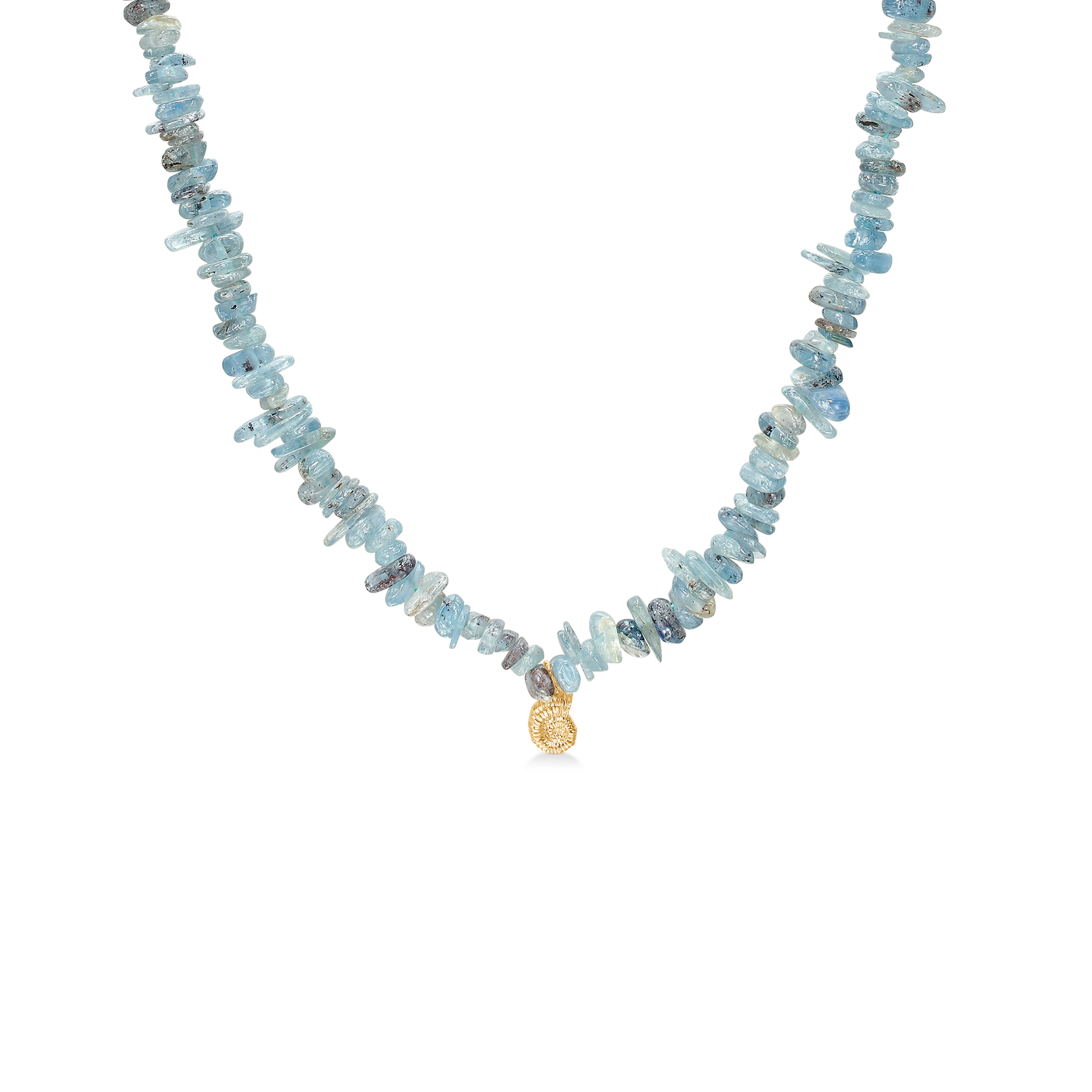 Seashell Secrets Necklace