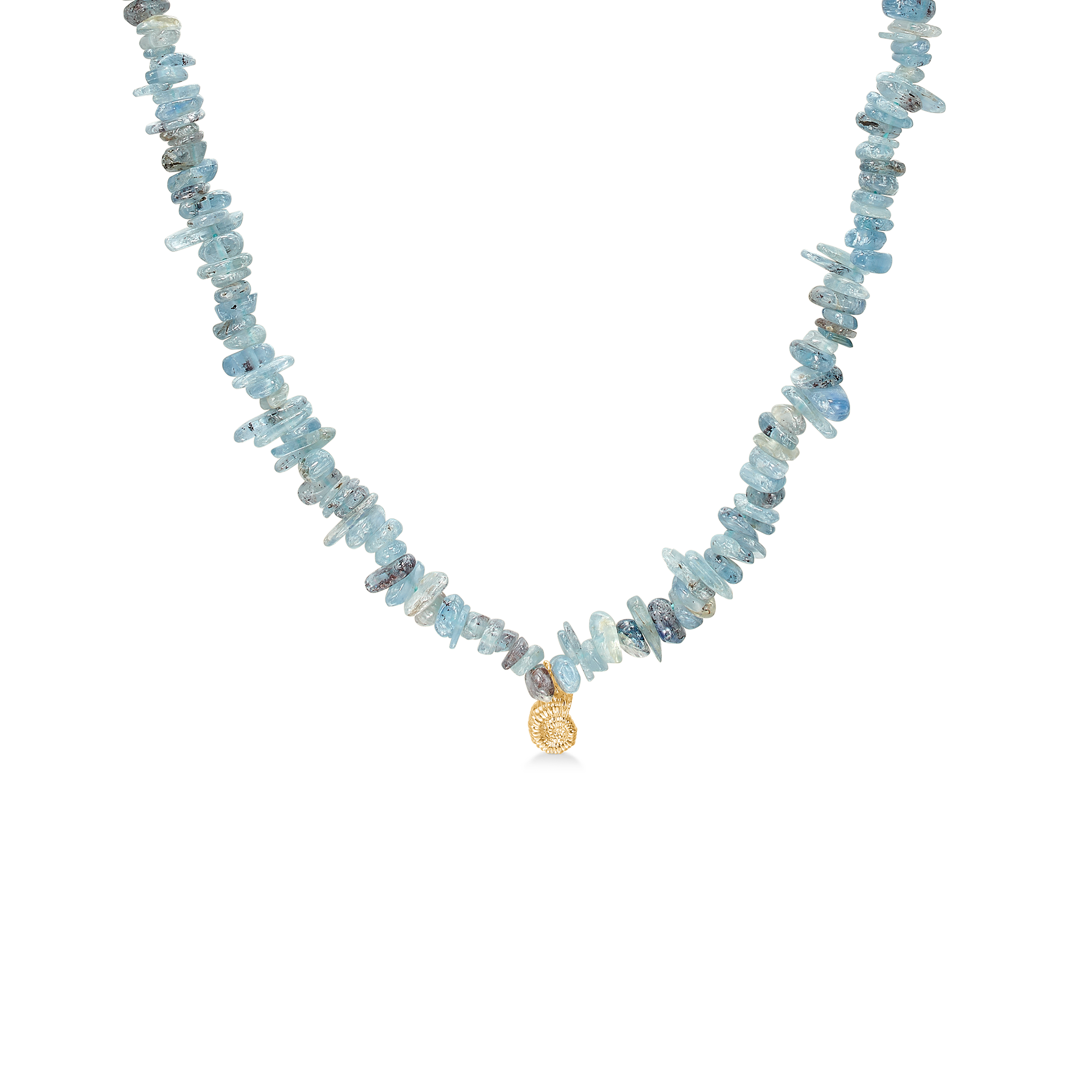 Seashell Secrets Necklace