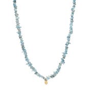 Seashell Secrets Necklace