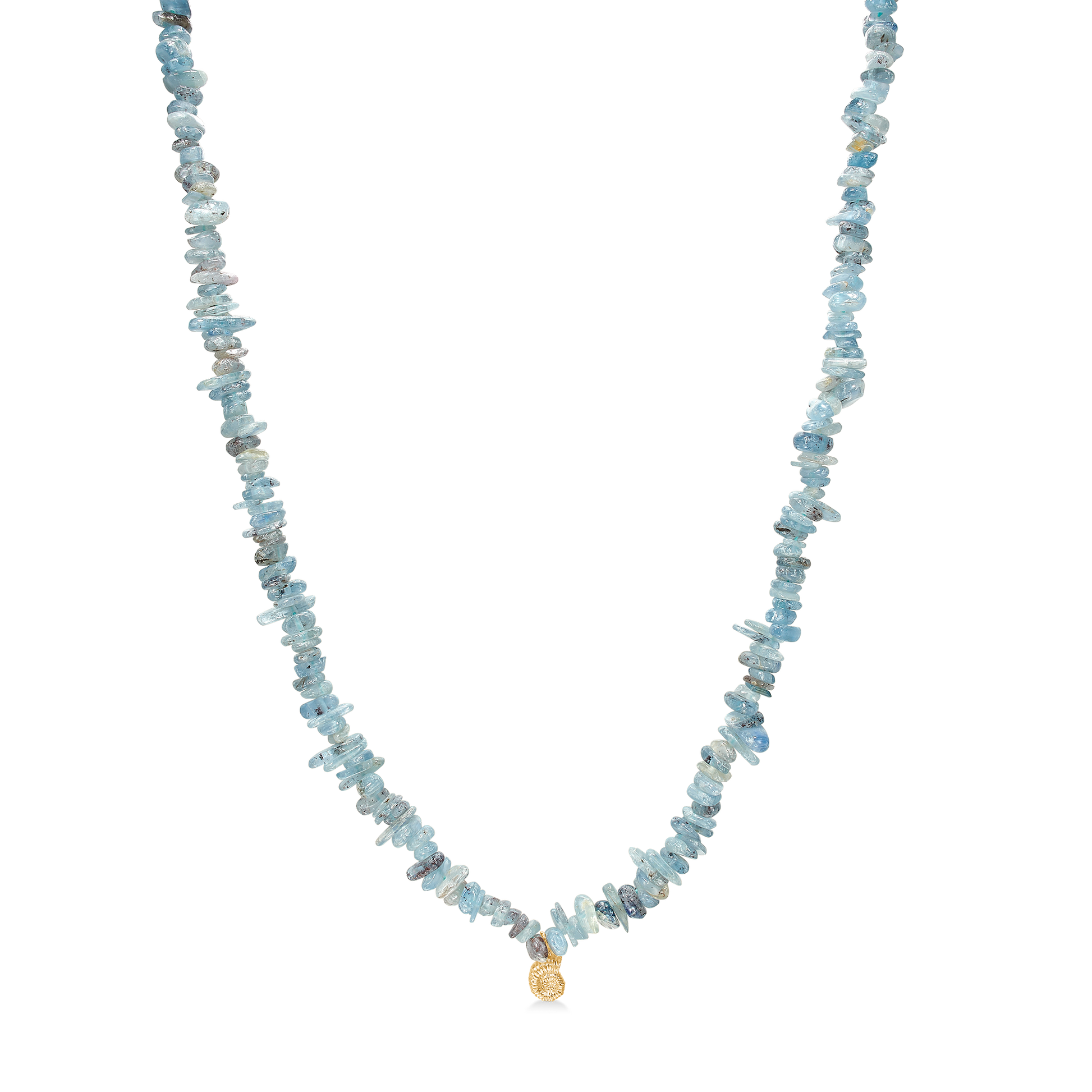 Seashell Secrets Necklace