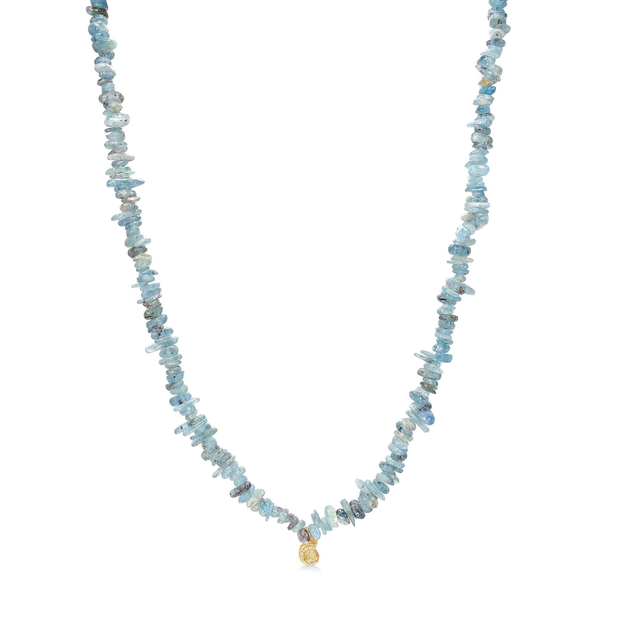Seashell Secrets Necklace