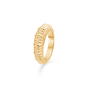 Sølv forg. ring "Seashell Secrets"