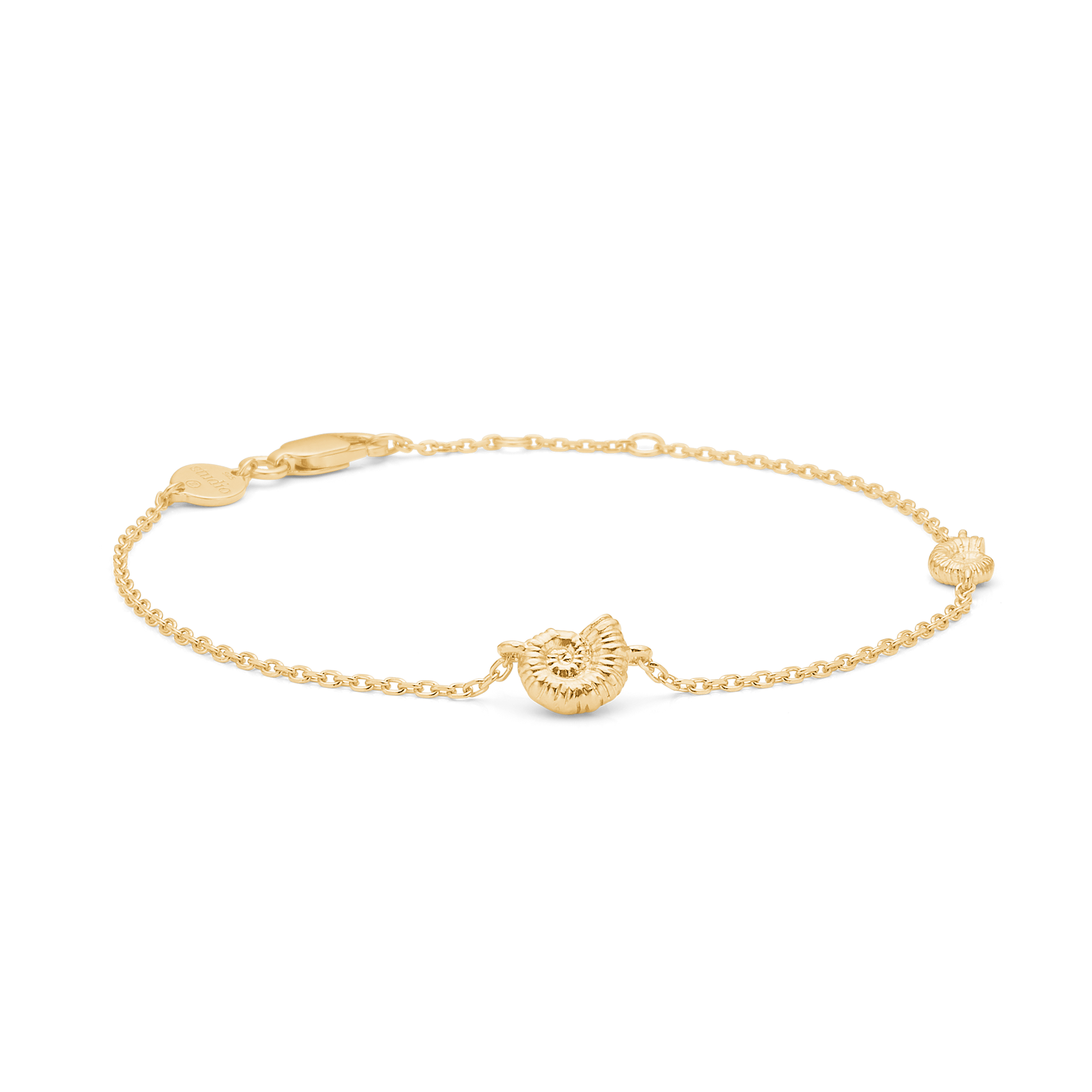 Seashell Secrets Bracelet