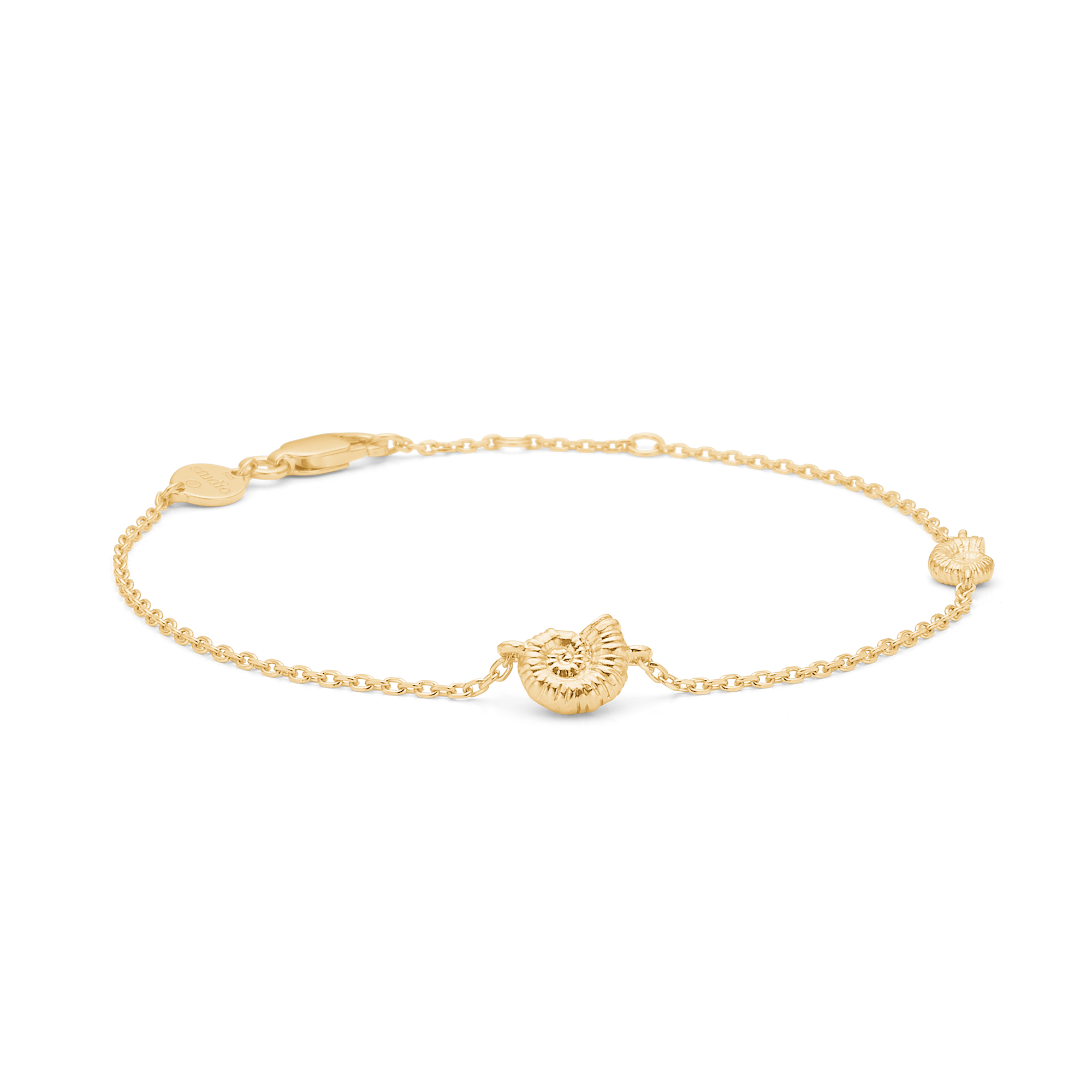 Seashell Secrets Bracelet