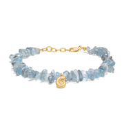 Seashell Secrets Bracelet