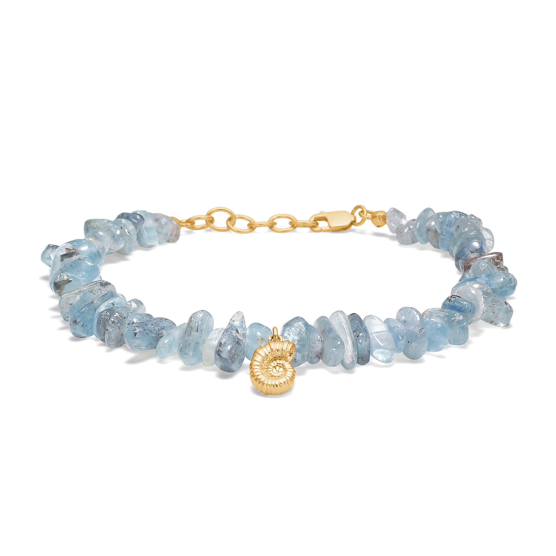 Seashell Secrets Bracelet