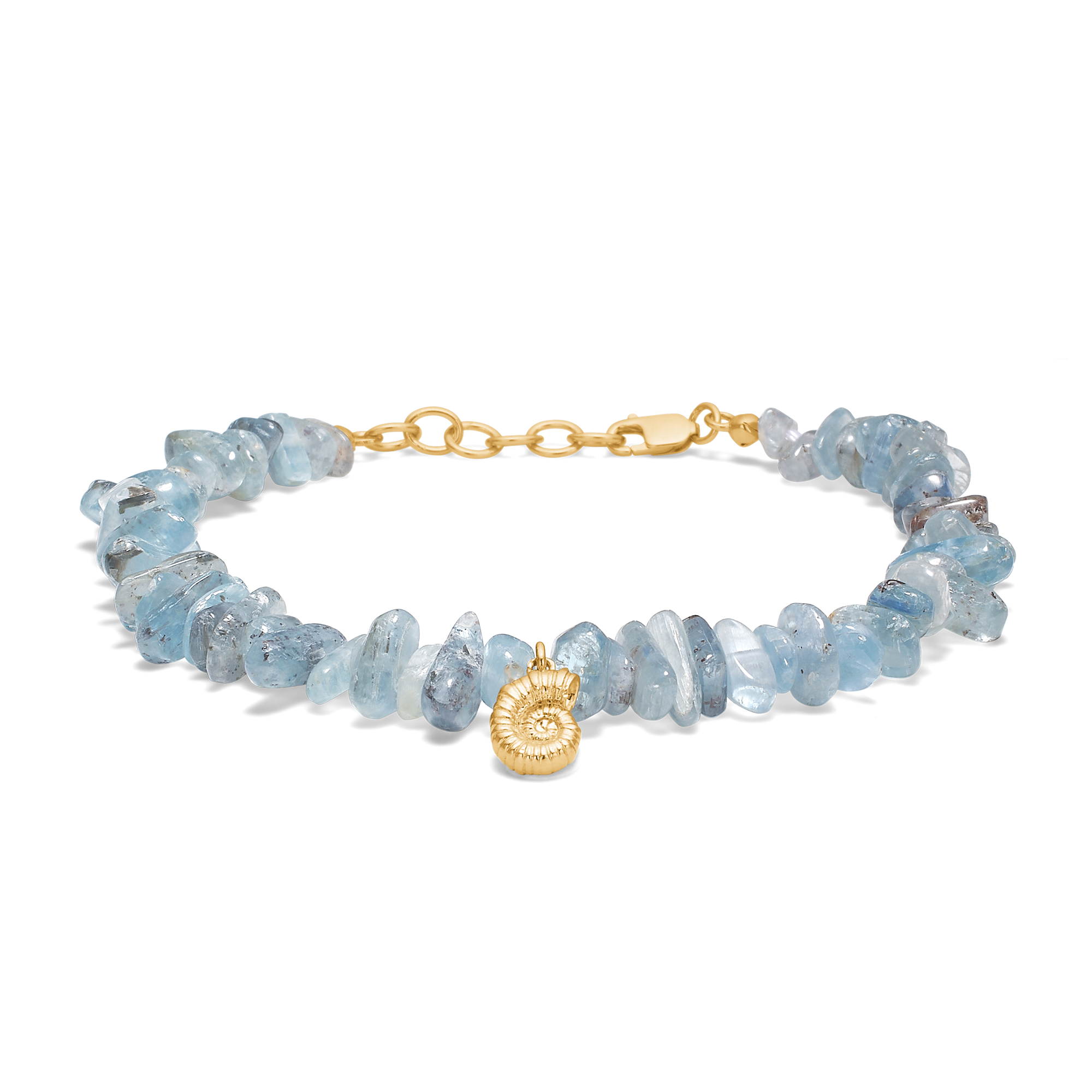 Seashell Secrets Bracelet