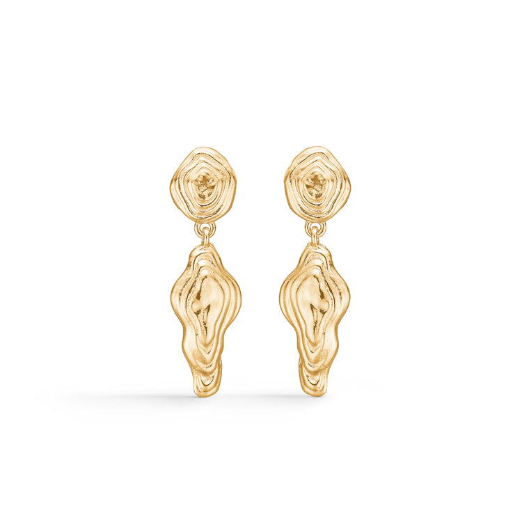 Shell Earrings