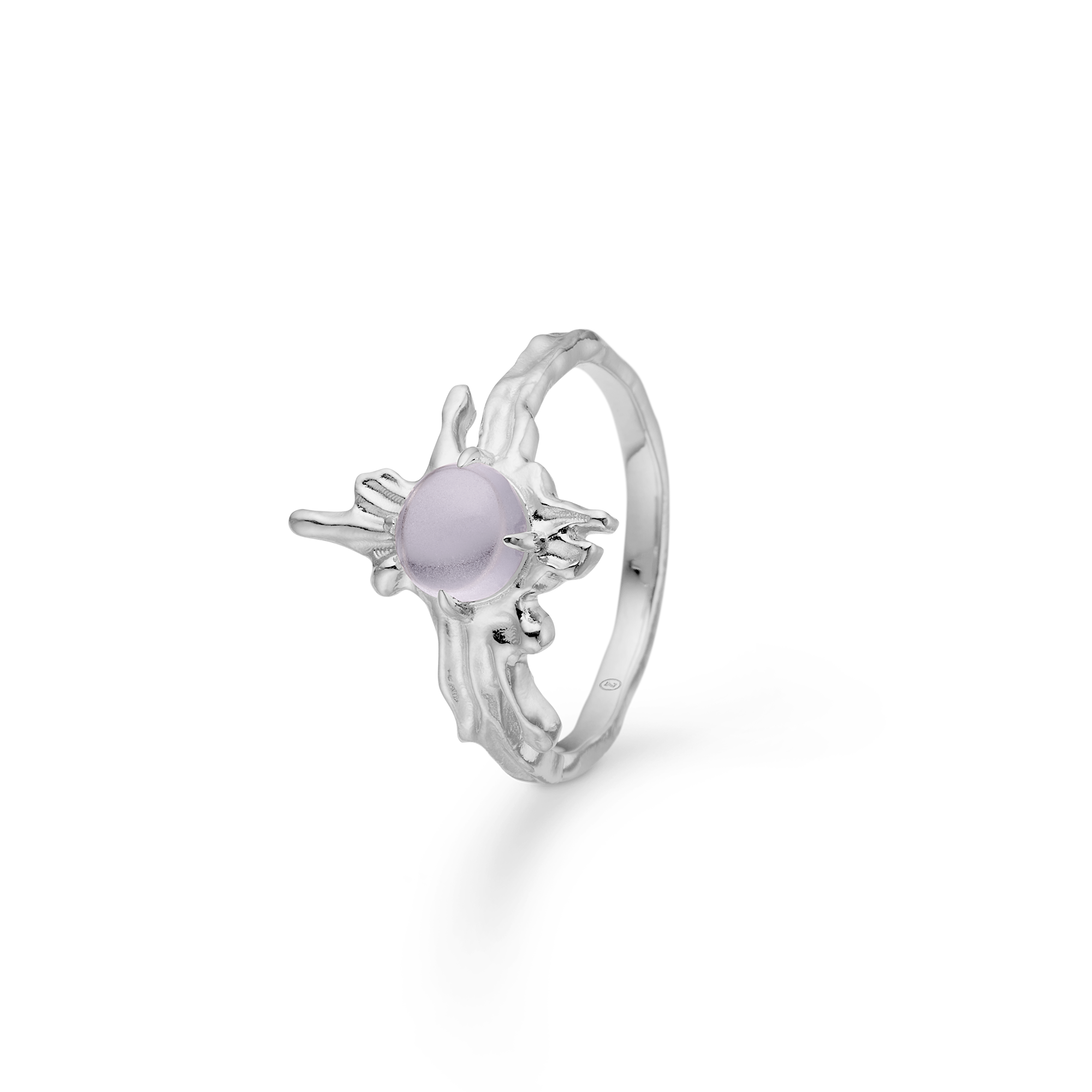 Arctic Ring